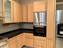 Ardmore Park (D10), Condominium #390700071
